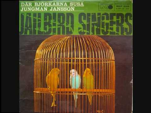 Jailbird Singers - Där björkarna susa.