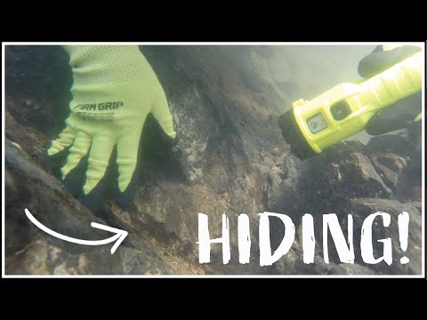 Breaking Bedrock In Southwest Oregon Gold Sniping Adventure