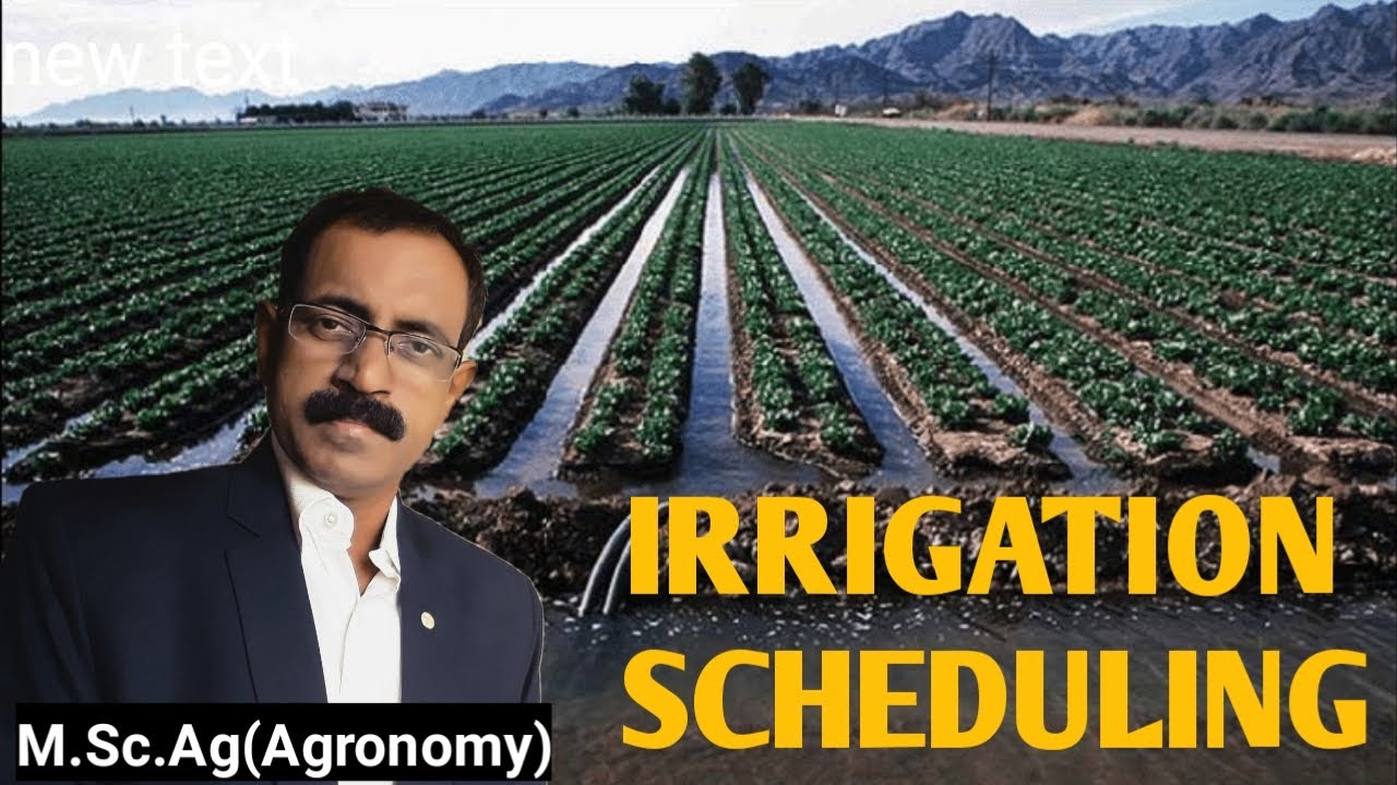 IRRIGATION SCHEDULING
