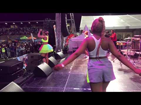 TDK Macassette Live at Ink Hop Festival November 2018