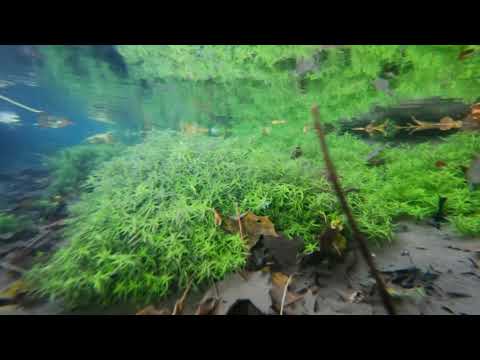 Mit Yoshi on Tour - am Galgenberg Lauingen