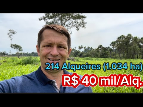 Fazenda a venda no Tocantins em Goiatins a R$ 40 mil/Alq#agro#gado