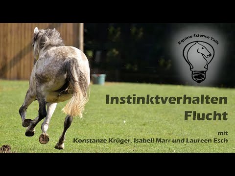 Instinktverhalten von Pferden