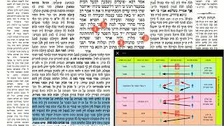 דף יומי מסכת שבועות דף מז Daf yomi Masechet Shevuot page 47  ע"י יוני גוטמן (שיעורי הדף היומי ב-20 דקות – מועבר ע"י ר' יוני גוטמן – לעילוי נשמת אביו ר' אלימלך צבי (צביקה) גוטמן ז"ל) - התמונה מוצגת ישירות מתוך אתר האינטרנט יוטיוב. זכויות היוצרים בתמונה שייכות ליוצרה. קישור קרדיט למקור התוכן נמצא בתוך דף הסרטון