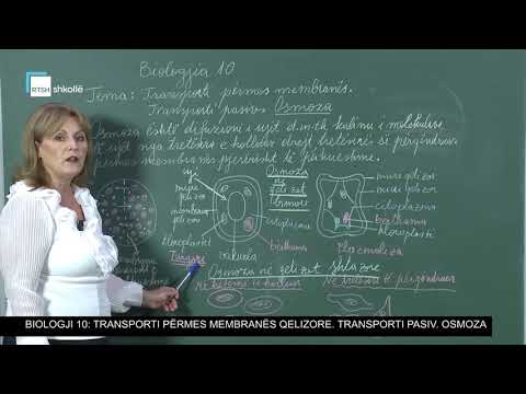 Biologji 10 - Transporti përmes membranës qelizore. Transporti pasiv. Osmoza.