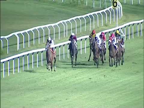 Pamparana - Premio Alberto Chantre, HL