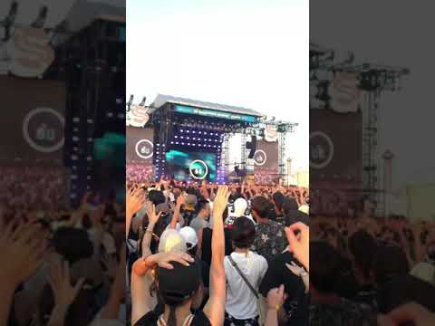 zedd Rude  8月17日 大阪サマソニ 20190817