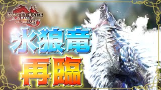 【モンスターハンターライズサンブレイク switch版】#13 今さらライズを始めたけどまたルナガロンさんとやるらしい【生放送】