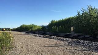 preview picture of video 'Alaska railroad holland America'