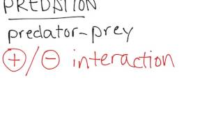 Predation