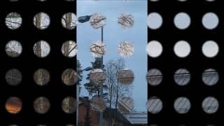 Caro Emerald - Black Valentine..🎵