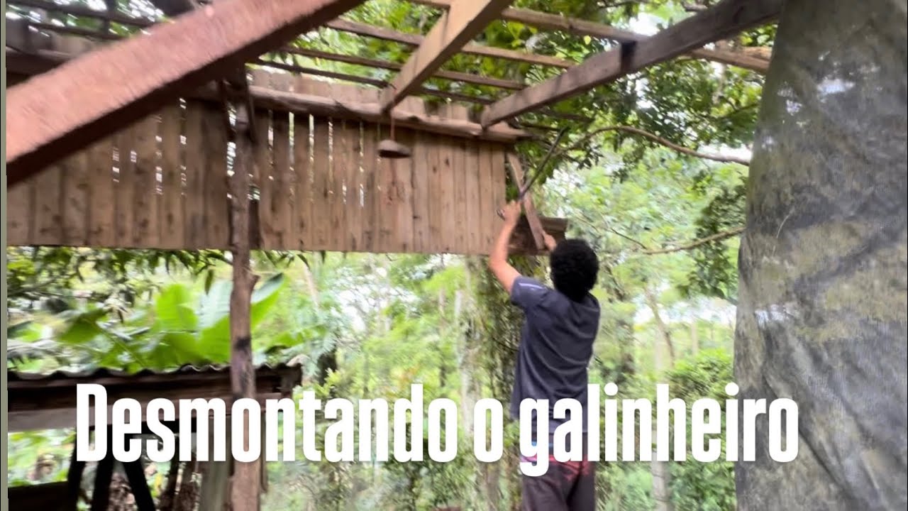 O galinheiro virou uma gaiola