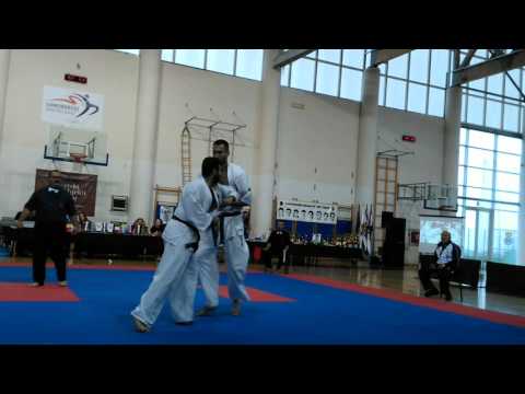 20th Branko Bošnjak Memorial | Alexandridis Kyriakos vs Istvan Radics