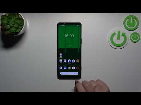 How to Check Serial Number on Sony Xperia 1 V - Find SN