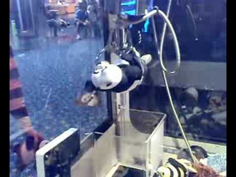 The Claw Machine - Success 16 - Kung Fu Panda 2