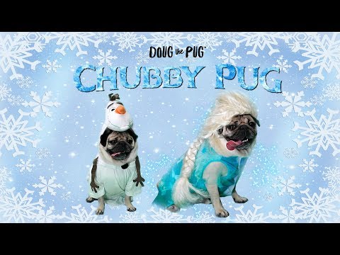 Chubby Pug (Frozen Parody) - Doug The Pug