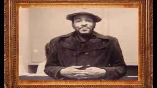 Marvin Gaye &amp; Tammi Terrell: I Can&#39;t Help But Love You