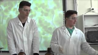 Estrazione e cromatografia della clorofilla - VideoLab Chimica 2016