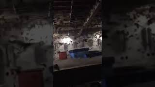 Download lagu suara inap burung walet sudah terbukti sukses mp3