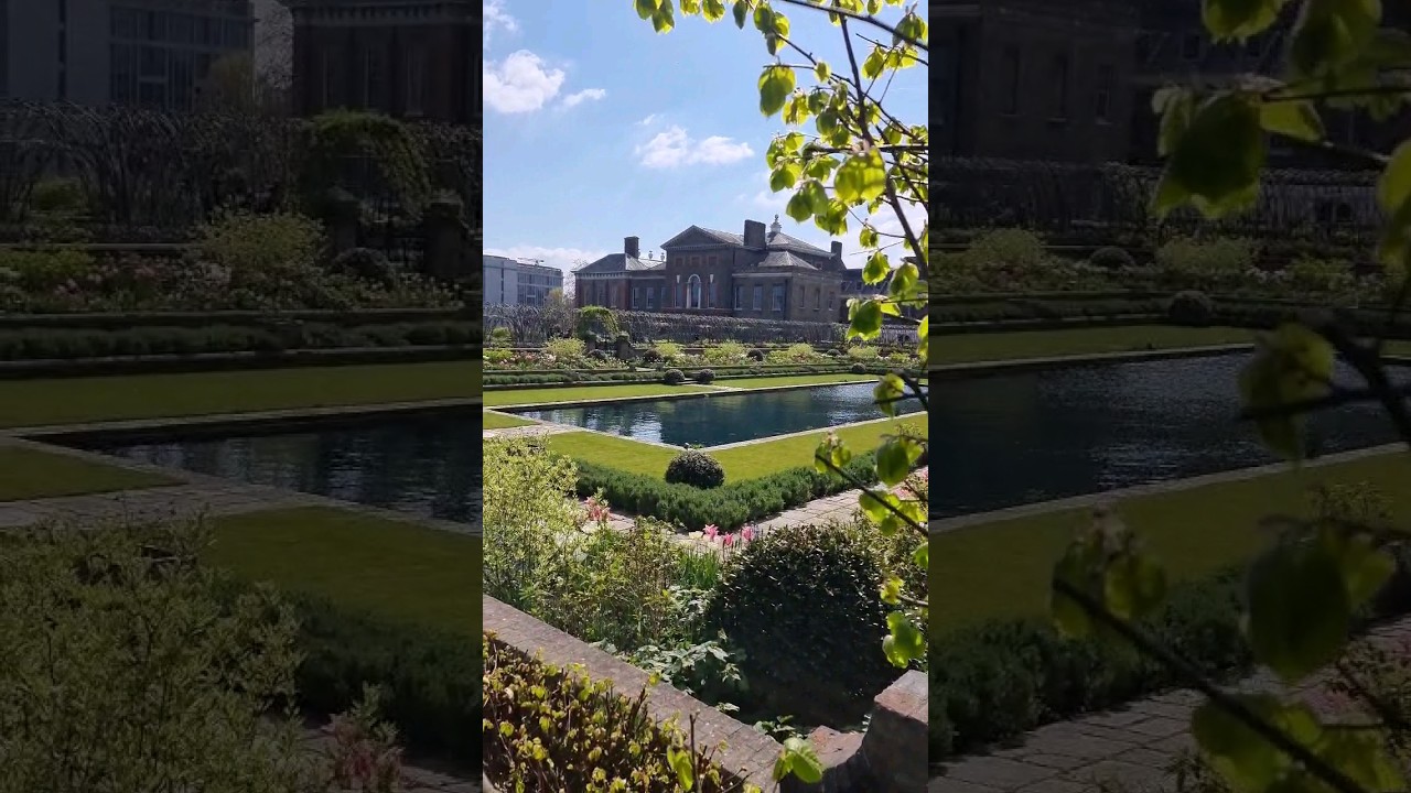 YouTube Short thumbnail