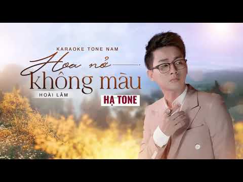 Hoa Nở Không màu karaoke hạ tone