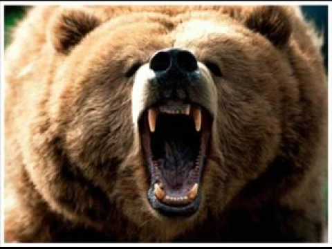 PARASENSE V ZOLOD BAD IN ER        RMX