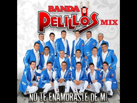 Banda Pelillos - Puras Cumbias. #musicamexicana #musicabanda @musicamexicana501