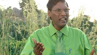 బ్యూలా దేశము నాది