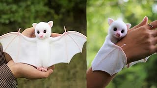Download lagu Cutest Baby Animals 2022 [Funny Pets] mp3