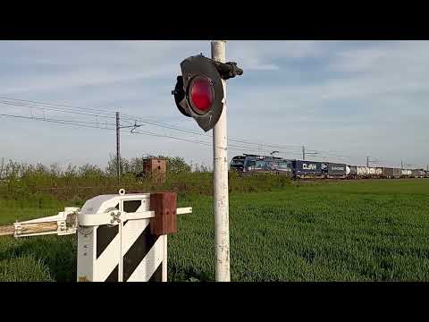 Altro che il solito minuetto... DUE BESTIONI DA E PER DOMODOSSOLA (con mega strombazzata)!!!!!!!!!!!