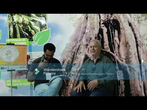 Summit Cultural - Entrevista Eugenio Caffone Lima - Guarantã do Norte-MT: registros incautos