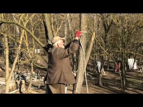 Bugaszegi szösszenetek -  A duplázás