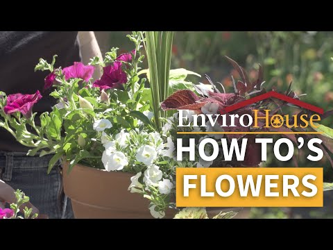 Plants to Attract Pollinators - EnviroHouse How To