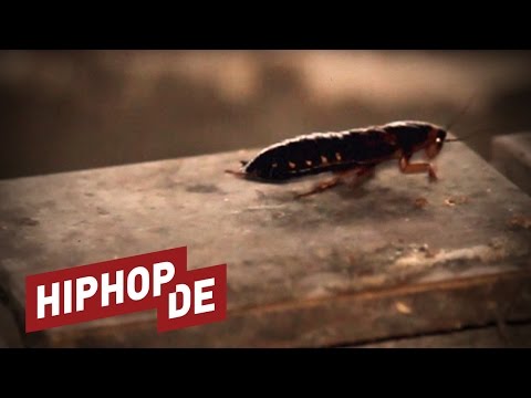 Snowgoons ft. Widukid - Unfassbar - Videopremiere