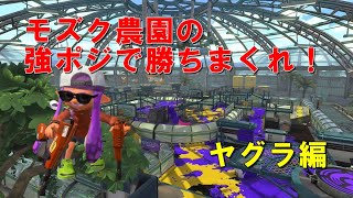 【スプラトゥーン2/デュアル】Xになる為のヤグラ解説　モズク編