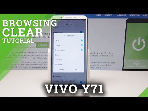 How to Clear Browser Data in VIVO Y71 - Reset History & Cookies