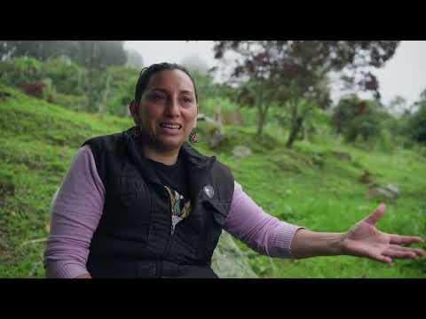 Cabrera, cuna de paz, sembrando dignidad en el Sumapaz - Con Azadón y Machete