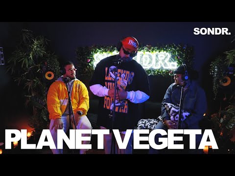 Late Night SONDR. - Planet Vegeta