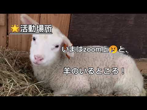 帯広畜産大学ひつじ会活動紹介（2021）