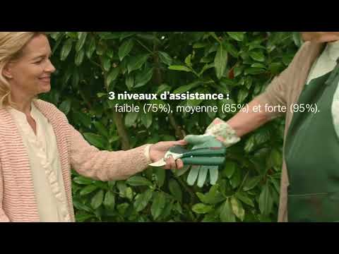 Sécateur sans fil EasyPrune - 3,6V - coupe 25 mm - 06008B2102 BOSCH