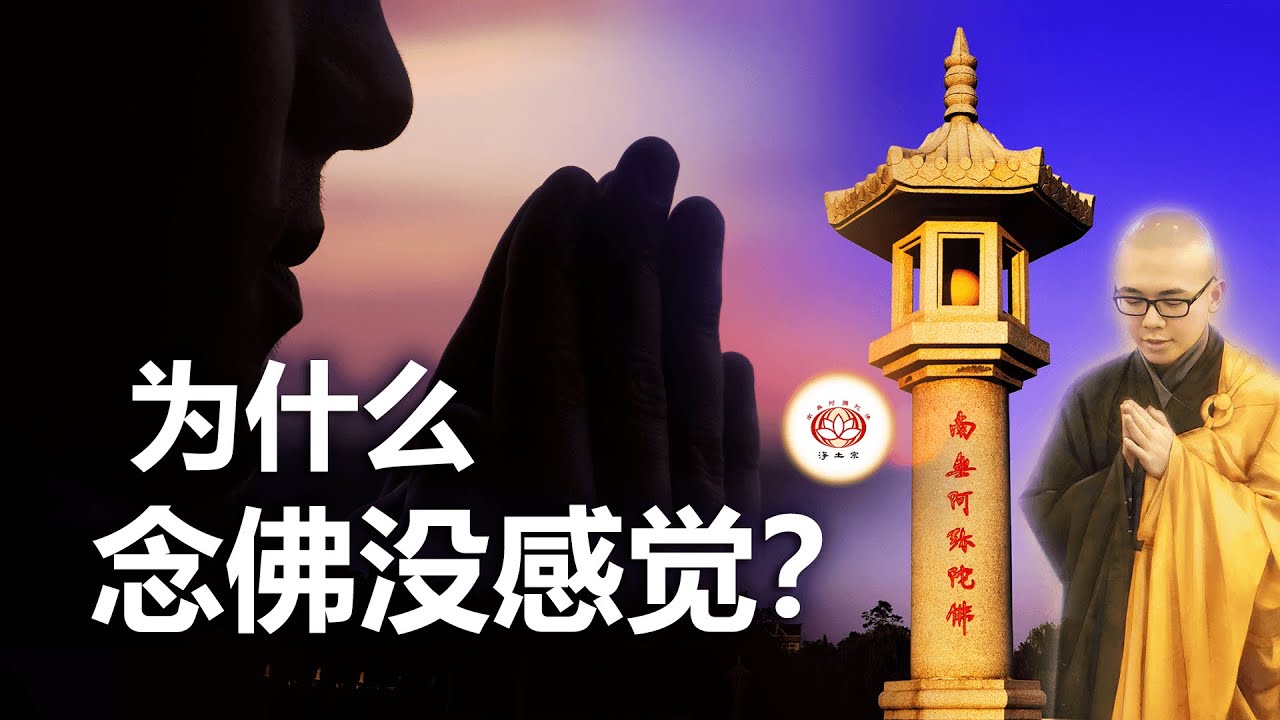 为什么念佛没感觉？ 👼 | 净本法师 主讲