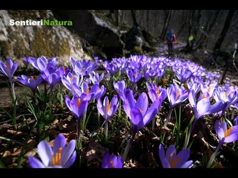 Faeit e Orvenco - SentieriNatura 2017 - 03