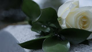 If Tomorrow Starts Without Me  Denise Ferguson (Official Video)