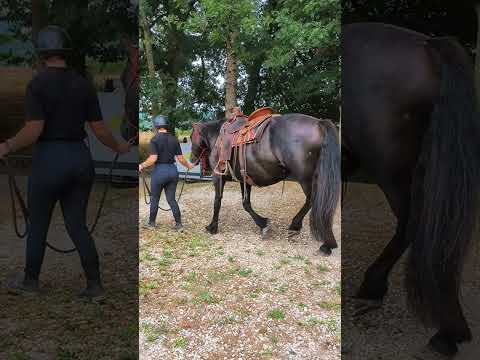 youtube preview