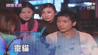 【蝴蝶密碼】精彩