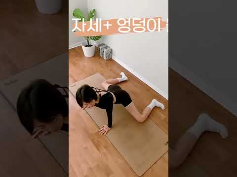 아이콘