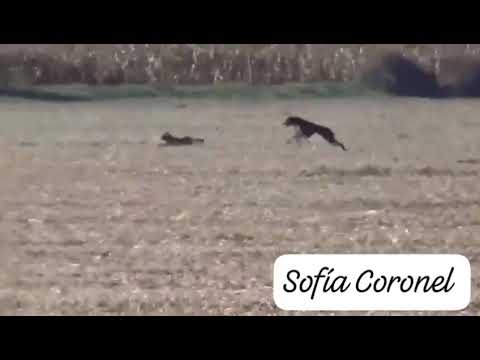 Sofía Coronel en el Arañado provincia de Córdoba