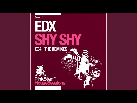 Shy Shy (Avicii Remix)