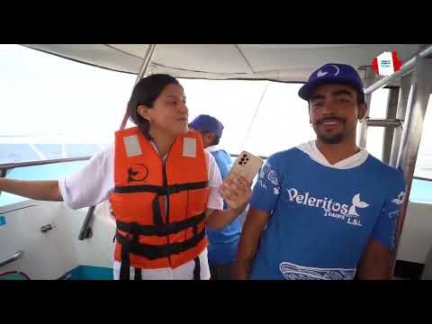 El avistamiento de Ballenas del Pacífico 2023 llegó a Los Órganos, Talara, video de YouTube