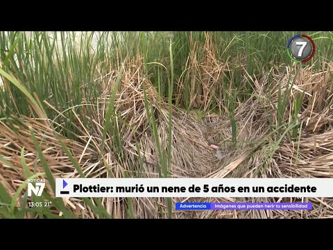 TRAGEDIA EN PLOTTIER: MURIÓ NENE DE 5 AÑOS